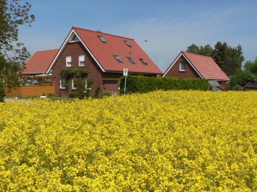 Ein Haus am Kornfeld - Housity