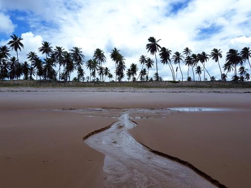 Rosagash Paradise - Praia de Santo Antonio - Housity
