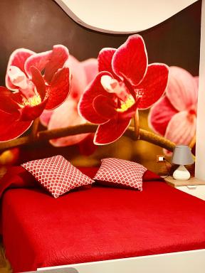 B&B Di Fiore - Housity
