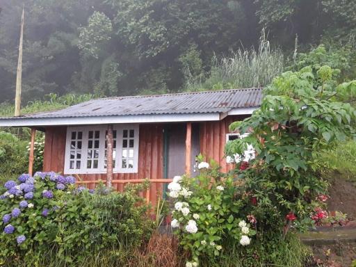 Vamoose Red Panda - Housity