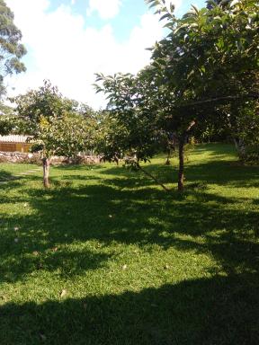 Pousada Recanto dos Pinheiros - Housity