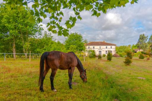 Domaine TerrOcéane - Housity