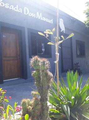 Posada Don Manuel - Housity