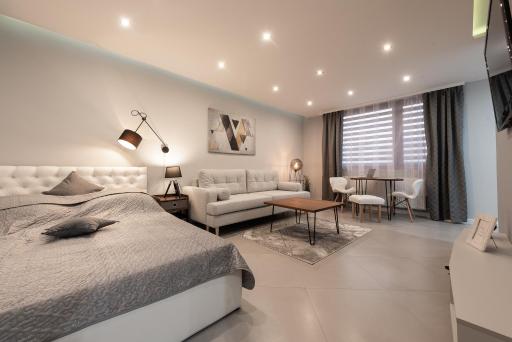 Studio Silesian Vip - Housity
