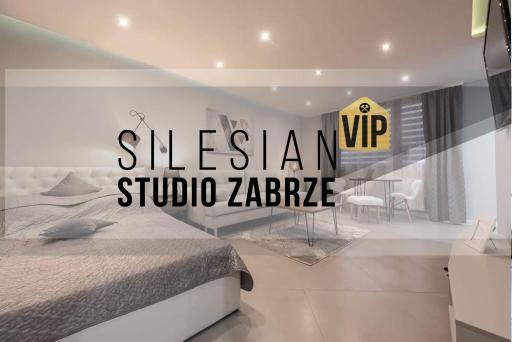 Studio Silesian Vip - Housity