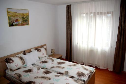 Apartament Trei Stejari - Housity