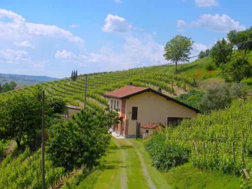 Cascina tra i vigneti a Nizza Monferrato - Housity