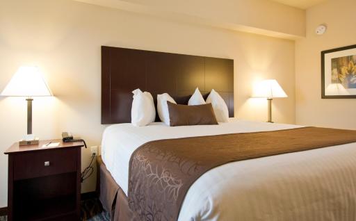 Cobblestone Inn & Suites - Boone - Housity