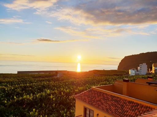 La Palmita Sunset - Housity