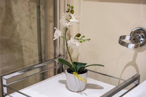JOIVY Amazing Location! - Lovely Rose St Apt in New Town - Housity