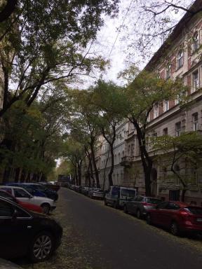 Platanus Guesthouse - Housity