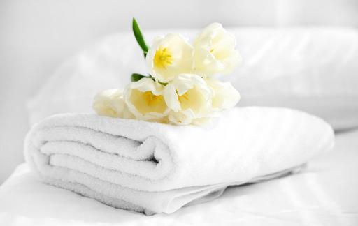 Hotel Presidente - Housity