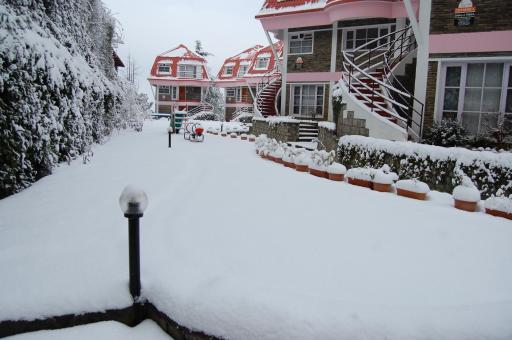 Marigold Sarovar Portico Shimla - Housity