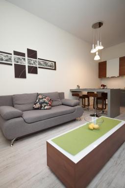 Dream Team Zamoyskiego - Housity