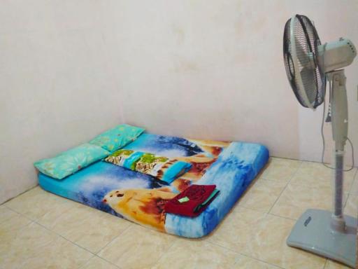 Amelia 4 Guest House Female - Housity