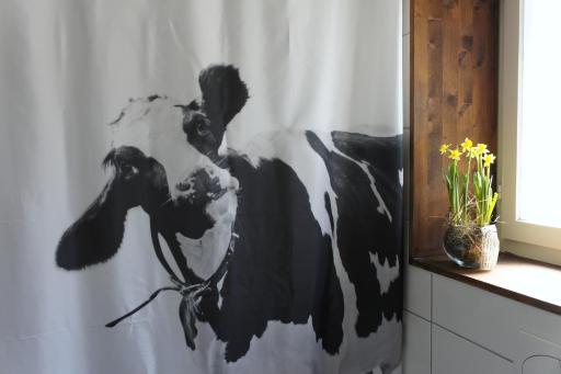 The Mad Cow - Housity
