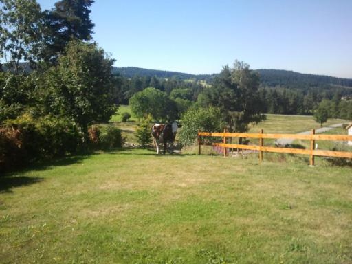 Ressourcez vous en pleine nature! - Housity