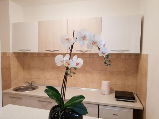 Apartman KEJ free parking - Housity