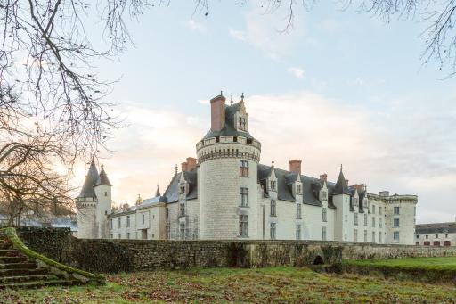 The Originals le Château de Dissay Poitiers - Housity