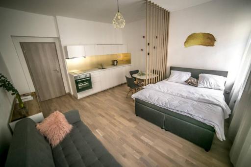 Prague friendly apartments in Prague - Housity