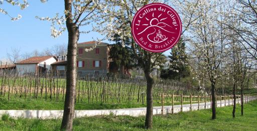 B&BLa collina dei ciliegi - Housity