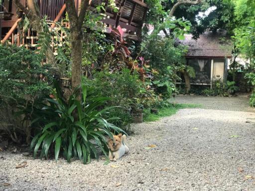 Baan Songjum - Housity