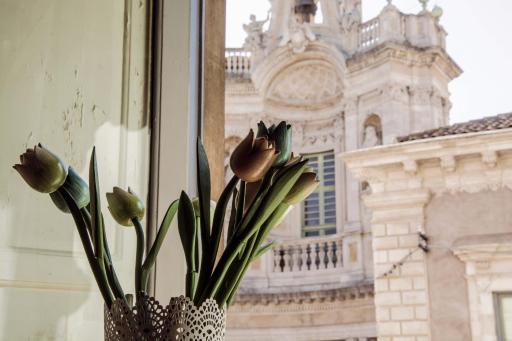 La Collegiata Guest House - Housity