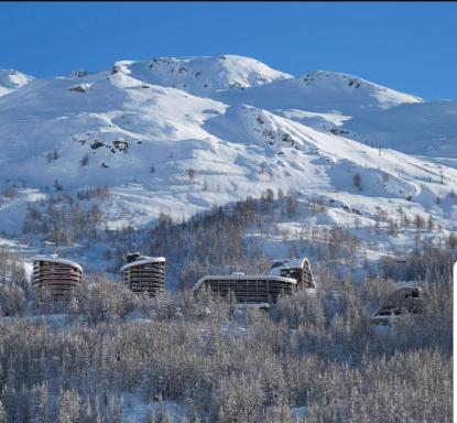 Profumo di Legno a Cielo Alto La Coquille - Hizvo