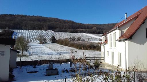 Aux vignes - Housity