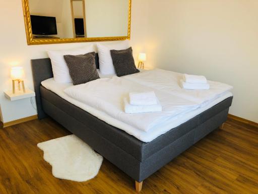 Studio Apartment Erfurt - Housity