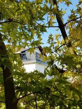 Studio apartman Gradna - Housity