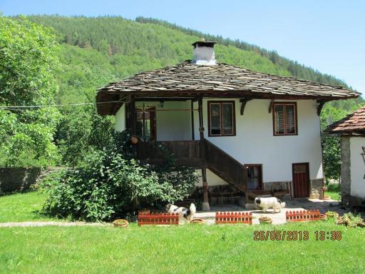 Guest House Four Pines - Housity