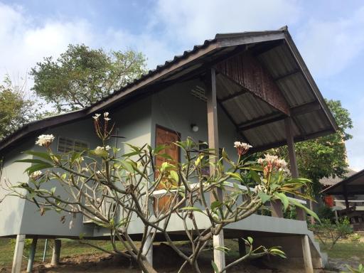 Phupha Bungalow Haad Rin - Housity