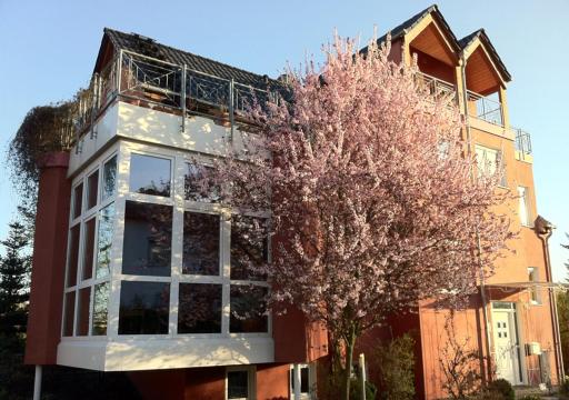 Gästehaus Kirschgarten - Housity