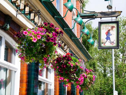 The Whittington and Cat - Housity