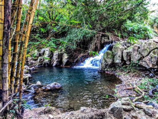Hamakua Guesthouse - Housity