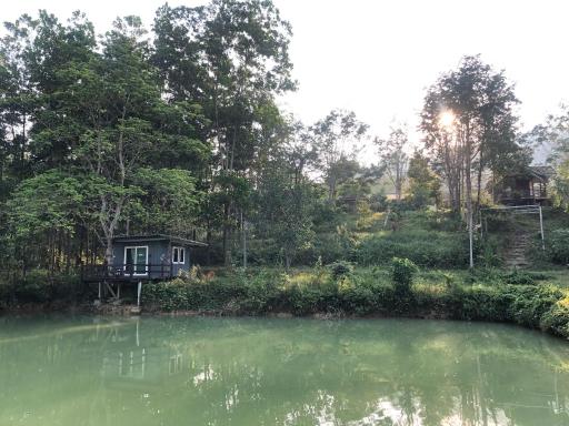 SunSam Farm - Housity