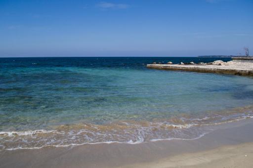 Apartments Morgan - Housity