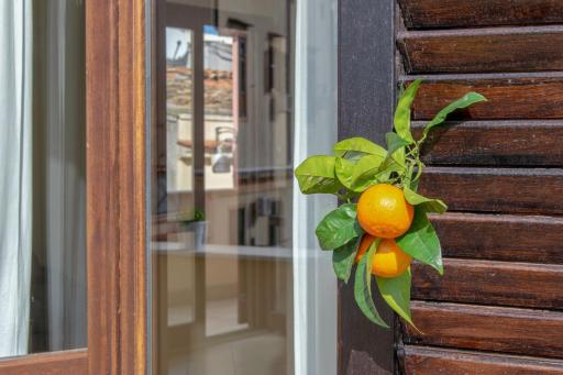 Ciuri apartments - Housity