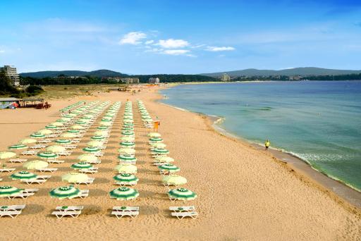Beachfront · Private Beach Hotel Forest Beach - Housity