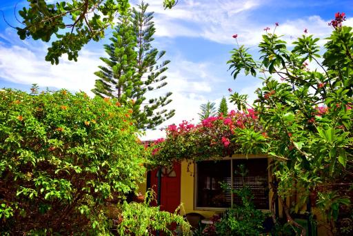 The Desoto - Oceanview Inn - Housity