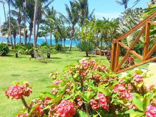 Villa Maxime - Housity