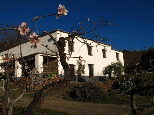 Casa Rural El Paraje de Berchules - Housity