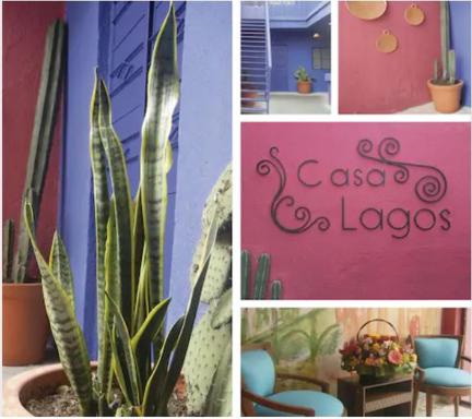 Casa Lagos - Housity