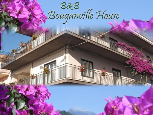 Bouganville House - Housity