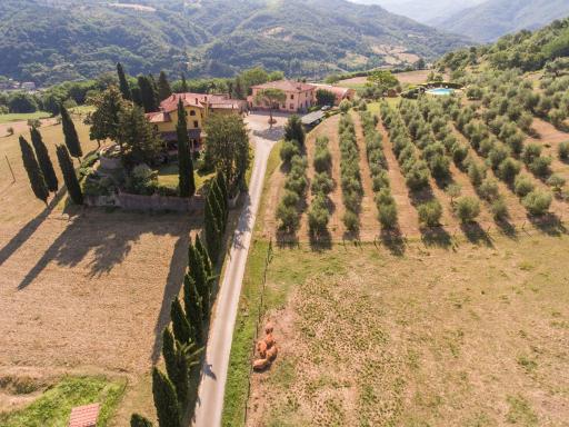 Trebbiolo - Housity