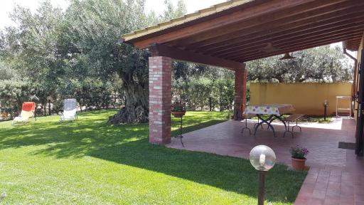 House surrounded by olive trees - Housity