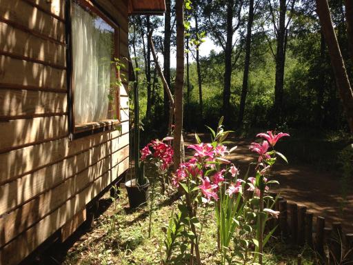 Eco-Cabañas Quetroleufu - Housity