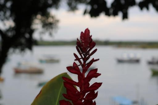 Odoyá Hostel - Housity