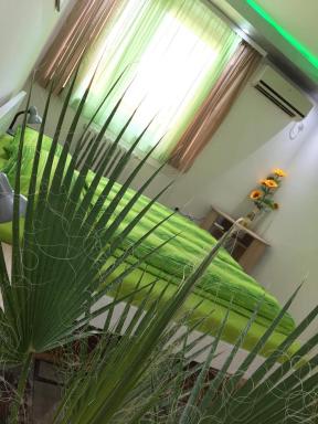 GREEN DREAMS - Housity